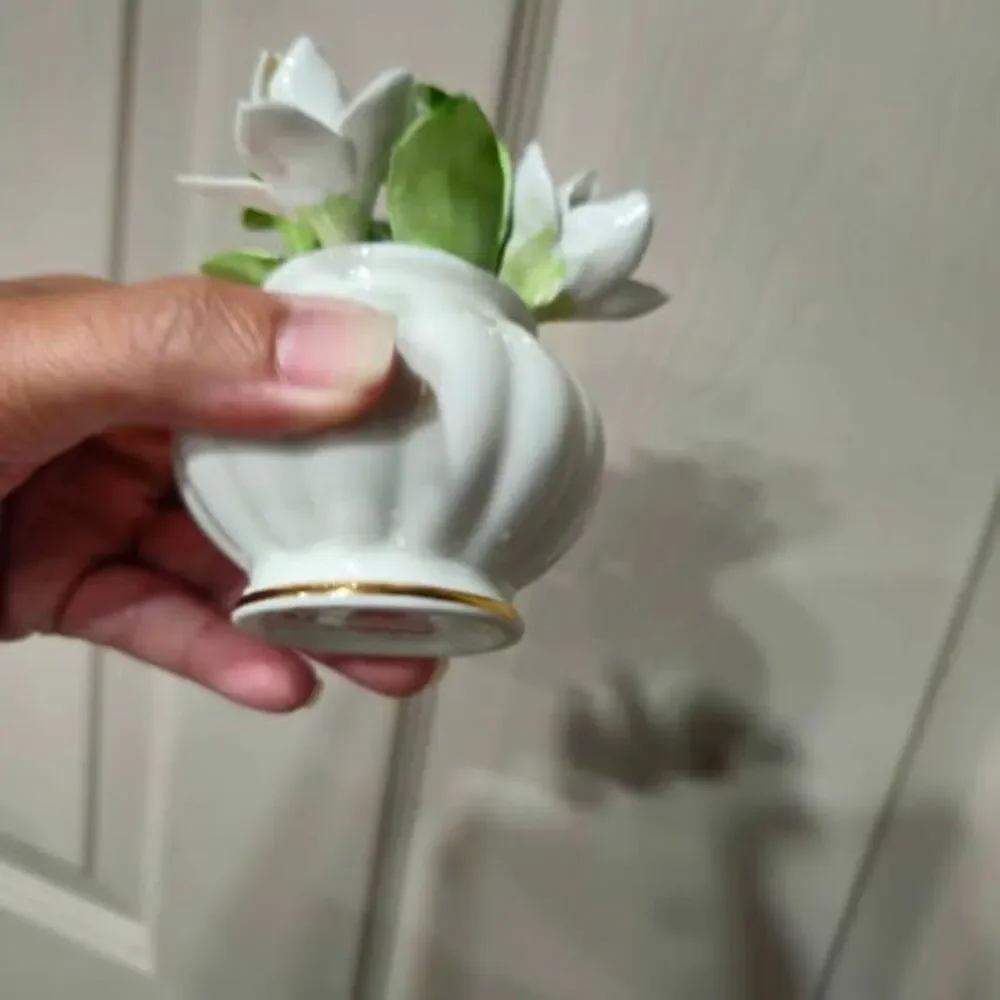 Royal Adderley Floral of the Month Bone China Gardenia Flower Figurine